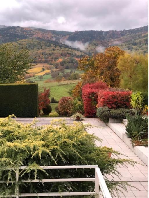 Logement De Charme Au Coeur De La Nature Osenbach Exterior foto